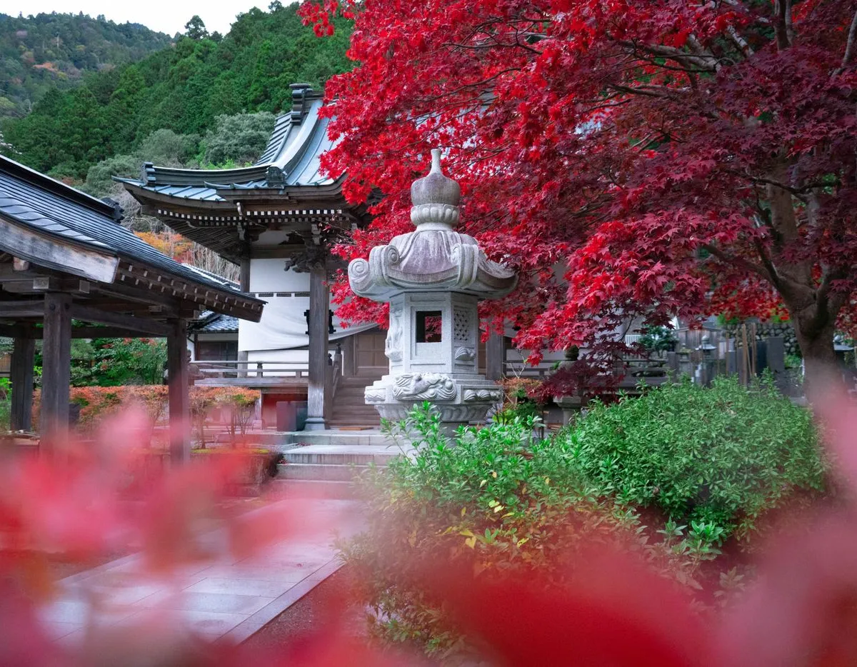 紅葉と石灯籠のある日本庭園