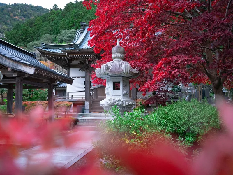 紅葉と石灯籠のある日本庭園
