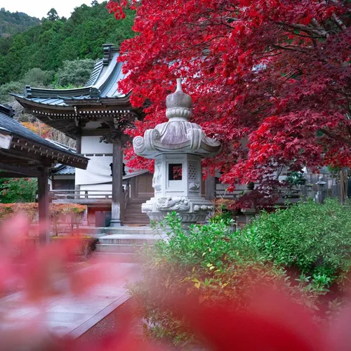 紅葉と石灯籠のある日本庭園